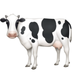Cow