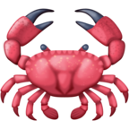 Crab