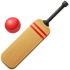 Cricket Game