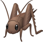 Cricket