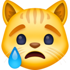 Crying Cat