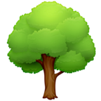 Deciduous Tree