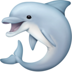 Dolphin