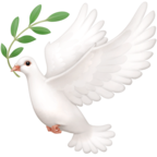 Dove