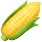 Ear of Corn