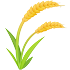 Sheaf of Rice