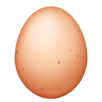 Egg