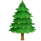 Evergreen Tree