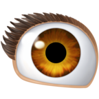 Eye