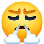 Face with Steam From Nose