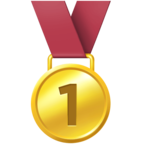 1st Place Medal