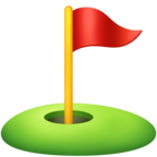 Flag in Hole