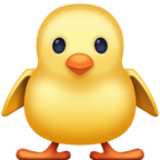Front-Facing Baby Chick