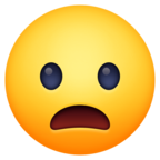 Frowning Face with Open Mouth