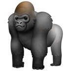 Gorilla