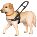 Guide Dog
