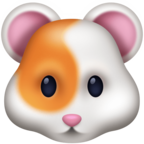 Hamster