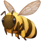 Honeybee