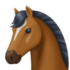 Horse Face