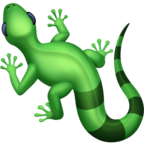 Lizard