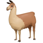 Llama