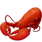 Lobster