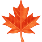 Maple Leaf