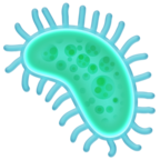 Microbe