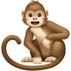 Monkey