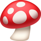 Mushroom