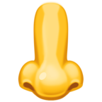 Nose