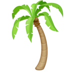 Palm Tree