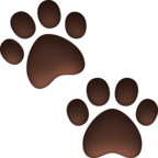 Paw Prints