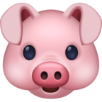 Pig Face