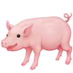 Pig