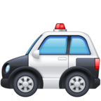 Police Car