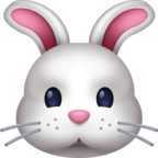Rabbit Face