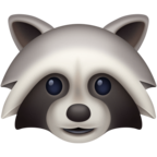 Raccoon