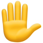 Raised Hand