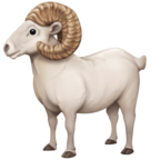 Ram