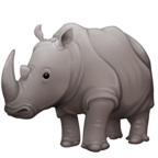 Rhinoceros