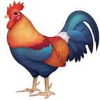 Rooster