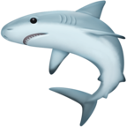 Shark
