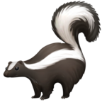 Skunk