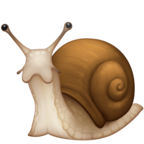 Snail