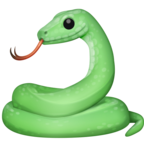 Snake