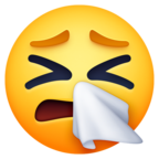 Sneezing Face