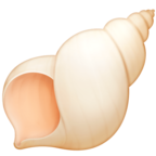 Spiral Shell