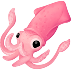 Squid