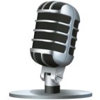 Studio Microphone